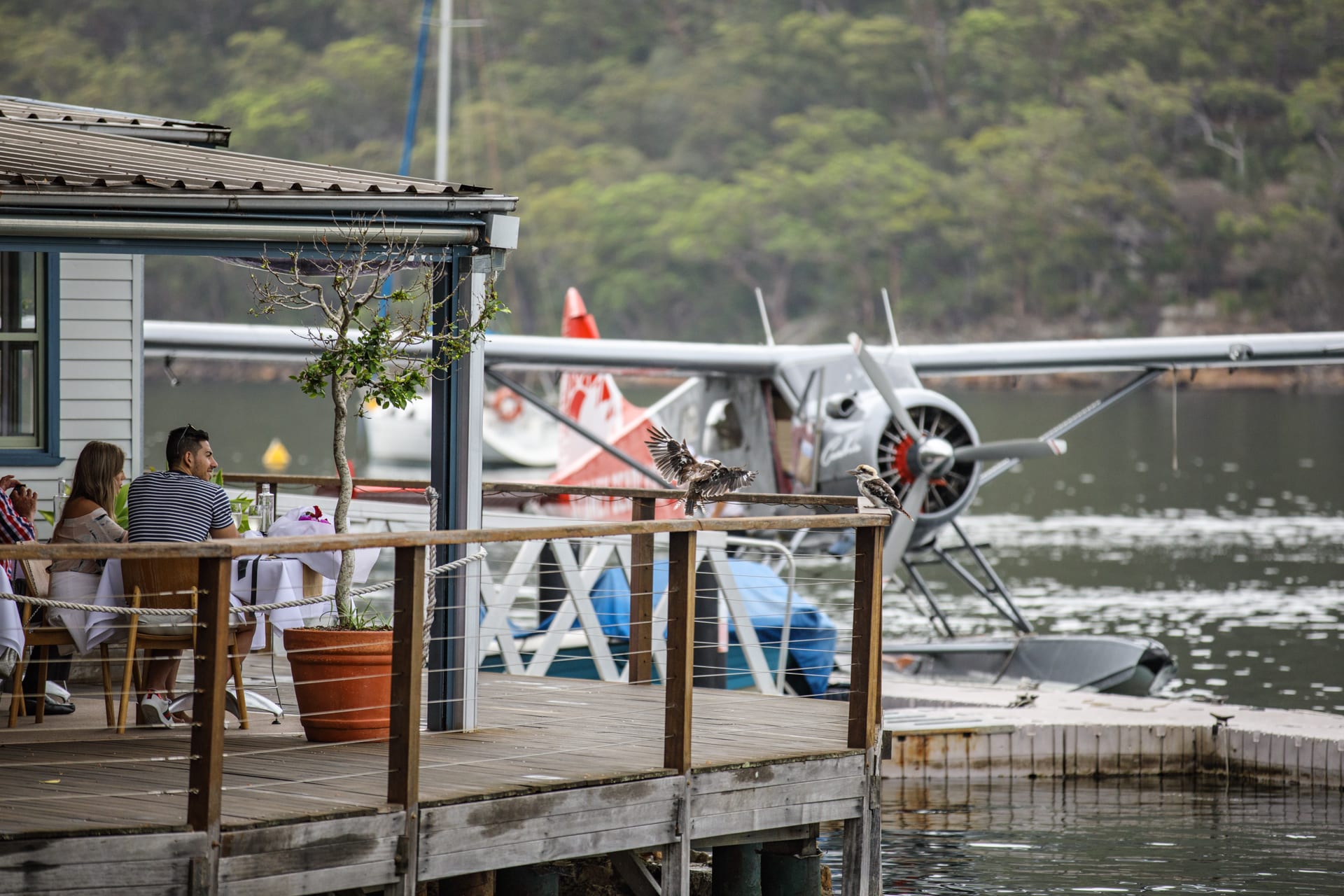 Unlocking Adventure: Adrenaline Promo Codes for Thrilling Experiences